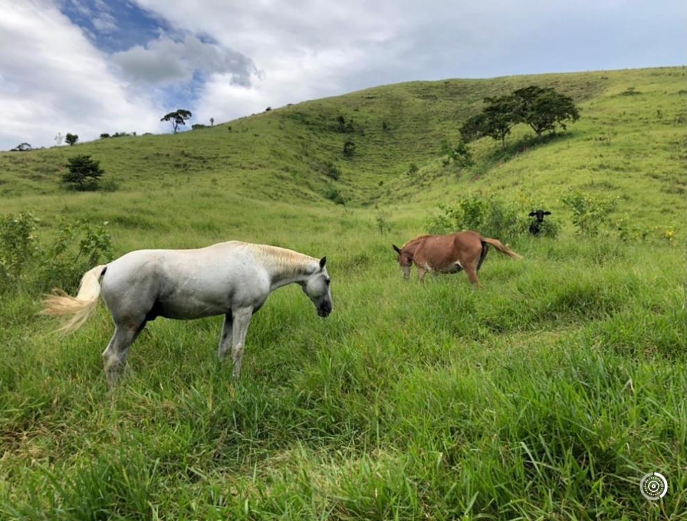 Willa Vivenda Dos Guaranys -Um Projeto Ecologico - Casa Conservatória Zewnętrze zdjęcie