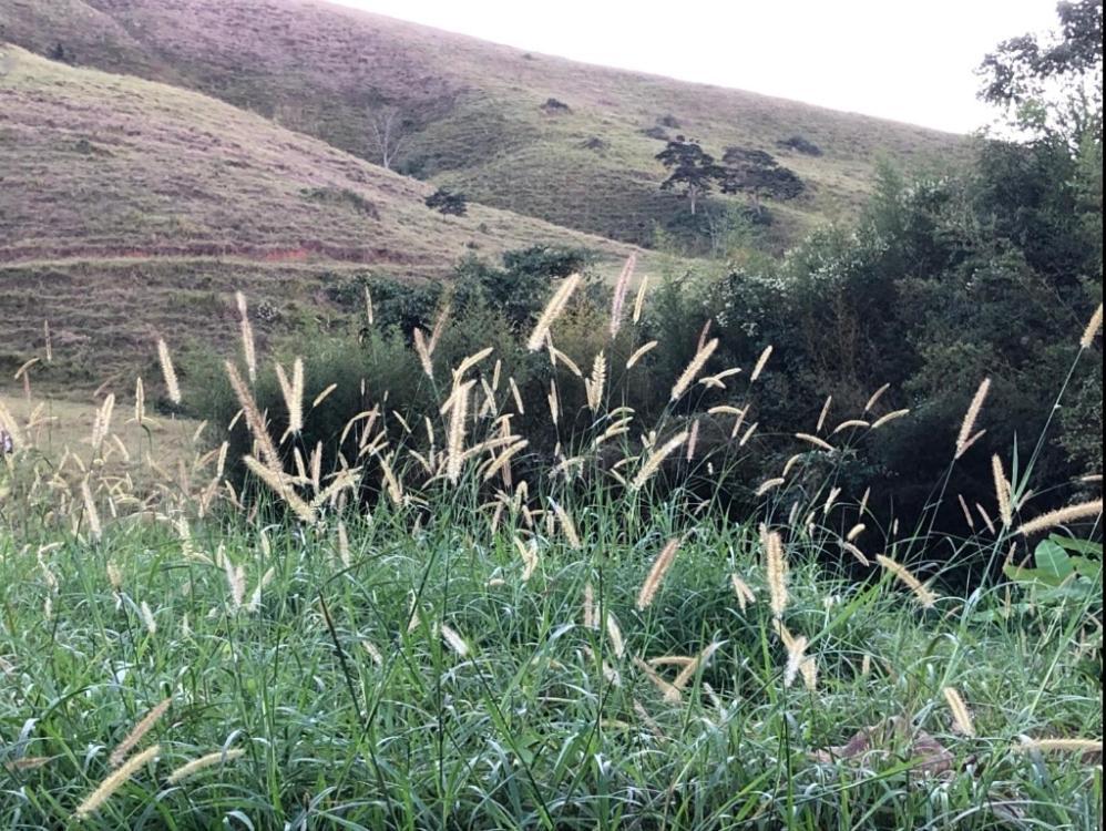 Willa Vivenda Dos Guaranys -Um Projeto Ecologico - Casa Conservatória Zewnętrze zdjęcie