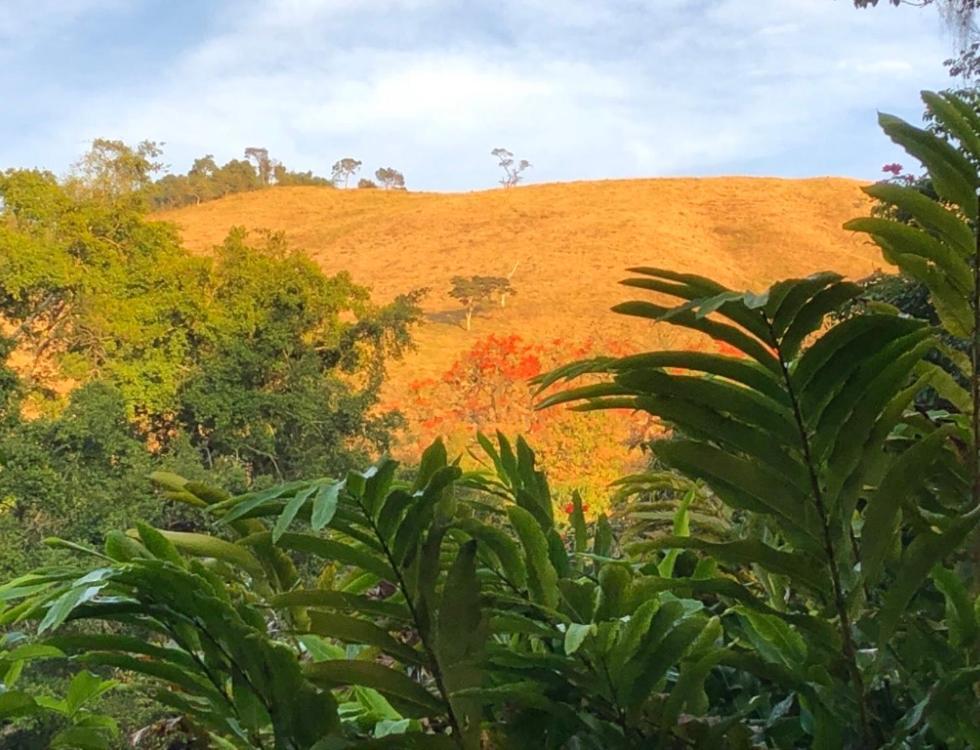 Willa Vivenda Dos Guaranys -Um Projeto Ecologico - Casa Conservatória Zewnętrze zdjęcie